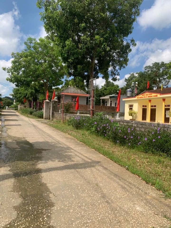 Đất nền Yên Sơn Tam Điệp 123m² giá chỉ 600 triệu - Cơ hội đầu tư tuyệt vời!