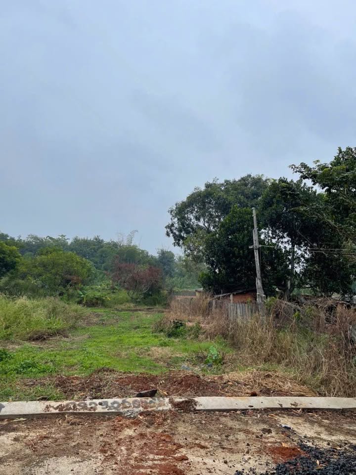 Đất thổ cư 1,16 sào tại P.Khánh Xuân - Chỉ 2,55 tỷ - Tiềm năng nghỉ dưỡng tuyệt vời!