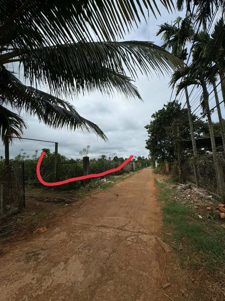 Đất thổ cư 1000m² đường 19B, Tân An, Buôn Ma Thuột - Giá chỉ 2.6 tỷ!