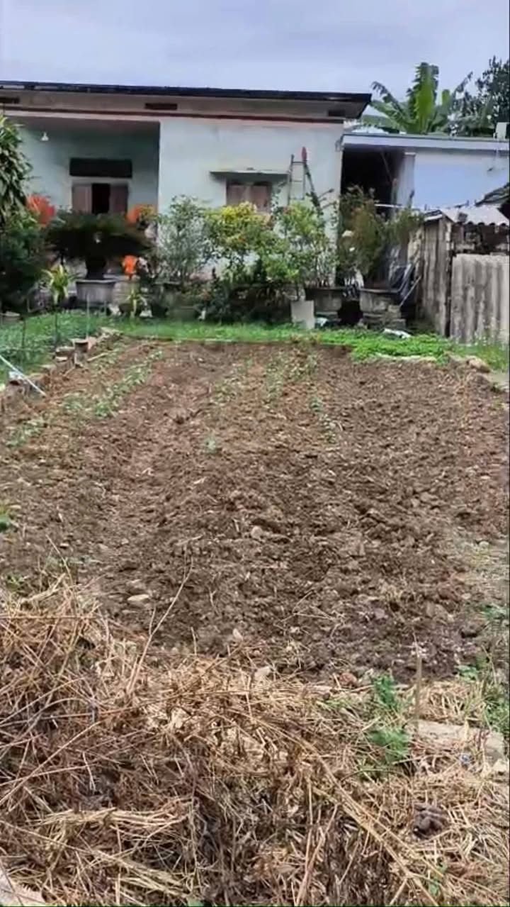 Đất nền 60m² xã Việt Khê, Thủy Nguyên - Cơ hội đầu tư tuyệt vời!