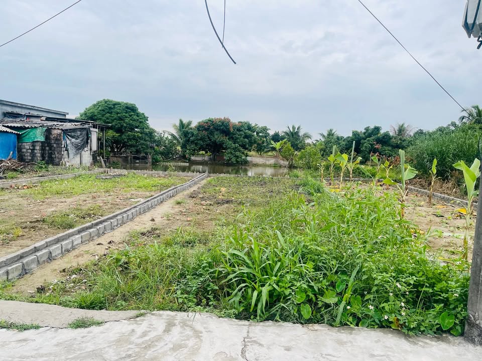 Đất nền Quang Hưng An Lão 75m² giá 700 triệu - Đầu tư sinh lời ngay!