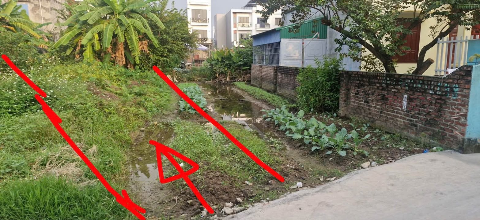 Đất nền Quỳnh Hoàng, An Dương 97m² giá 1.9 tỷ - Vị trí đắc địa, đầu tư sinh lời!