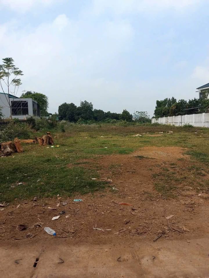 Đất nền Phú Mãn Quốc Oai 1300m² - Cơ hội đầu tư hấp dẫn!