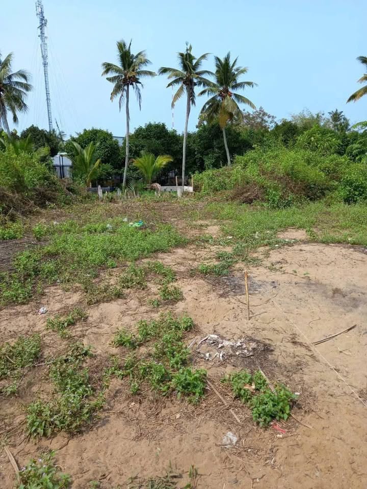 Đất nền hẻm 1 Trần Hưng Đạo, Lê Bình, Cái Răng 82m² - Pháp lý rõ ràng, giá chốt nhanh chỉ 1.4 tỷ!