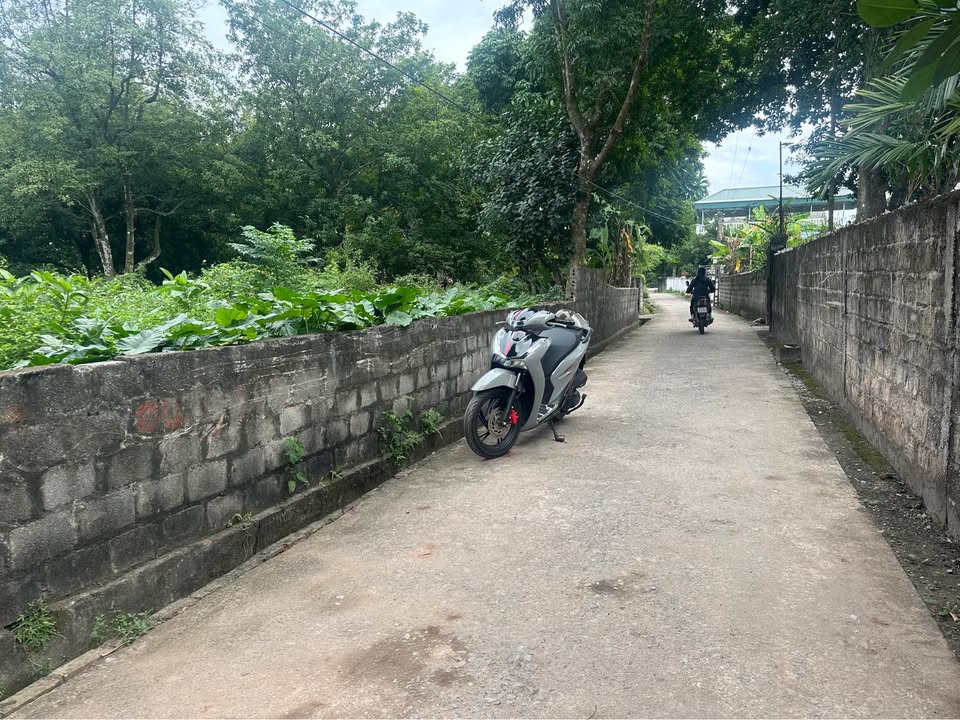 Đất nền thôn 5 Chính Lý, Lý Nhân 213m² giá 1.1 tỷ - Đầu tư sinh lời ngay!