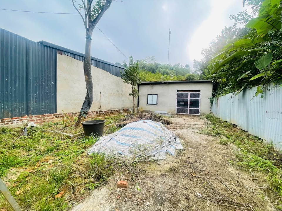 Bán đất kèm nhà cấp 4 tại Thôn Tiến Cường, Lào Cai 200m² giá 1 tỷ - Đầu tư sinh lời ngay!