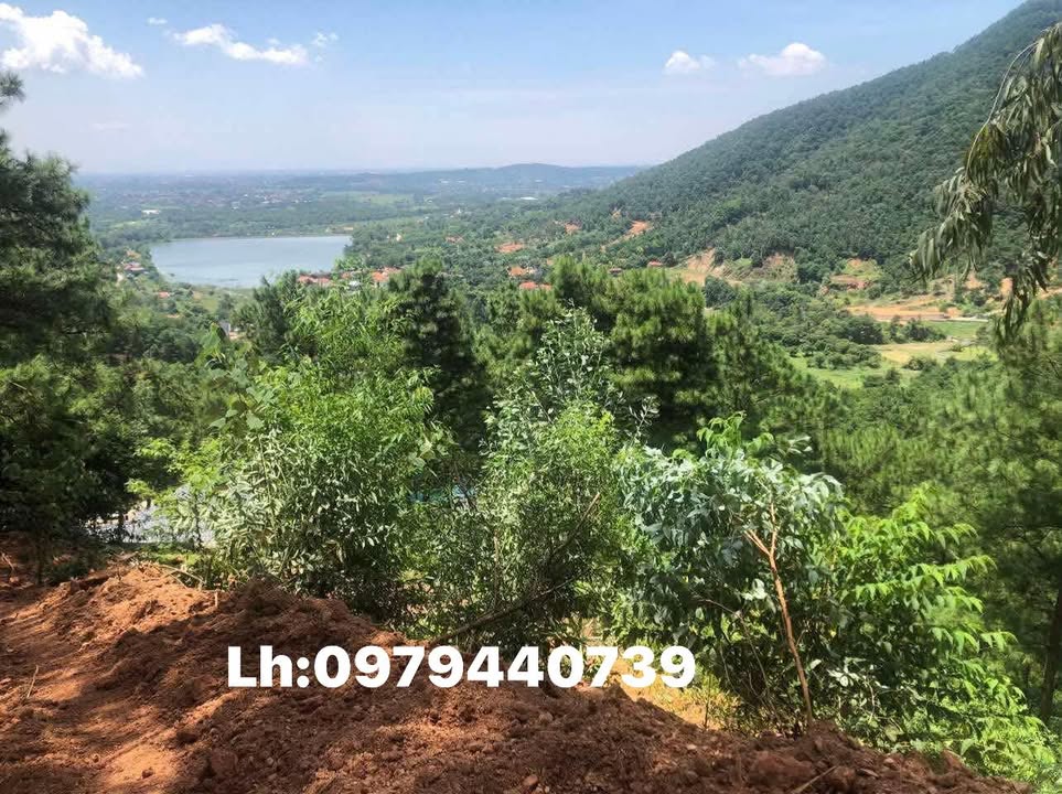 Lô đất Farm Minh Phú, Sóc Sơn 7000m² giá 28 tỷ - Cơ hội đầu tư hấp dẫn!