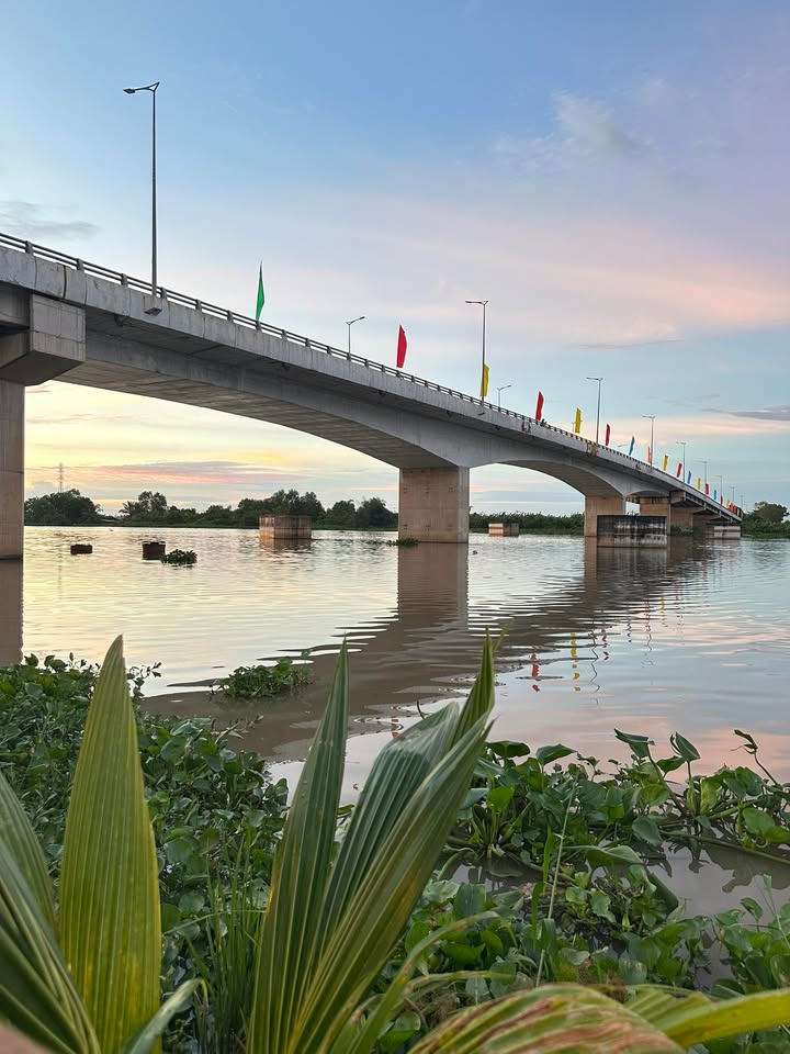 Đất nông nghiệp Hiệp Thạnh, Gò Dầu 10.000m² giá 2.2 tỷ - Cơ hội đầu tư hấp dẫn!