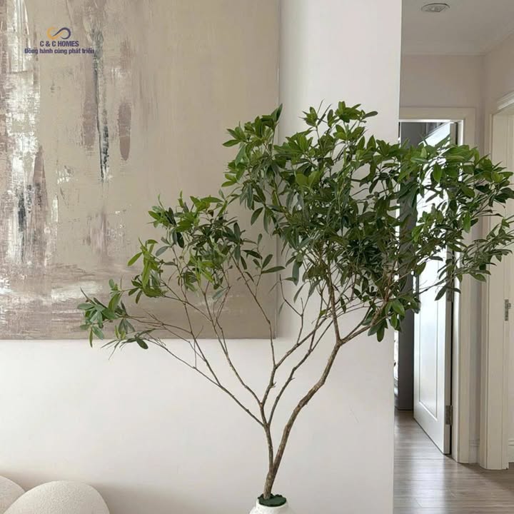 Cho thuê căn hộ Times City 1PN-3PN giá từ 11 triệu - Tiện nghi đầy đủ, sẵn sàng vào ở!