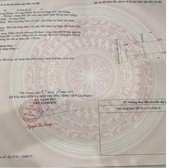 Nhà mặt tiền DT873B Gò Công 250m² giá 2.5 tỷ - Đầu tư sinh lời ngay!