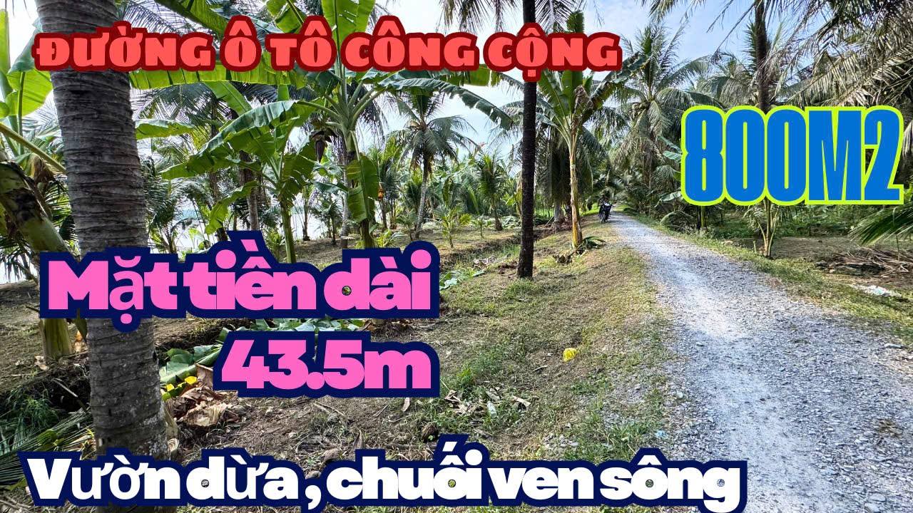 Đất vườn đẹp tại xã Tân Thới, Tiền Giang 800m² - Thích hợp đầu tư homestay!