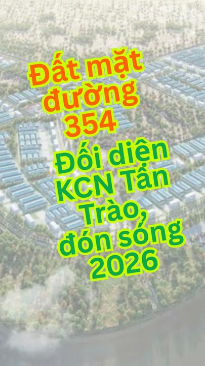 Đất mặt đường 354 Kim Sơn, Tân Trào 125m² - Đầu tư sinh lời ngay!