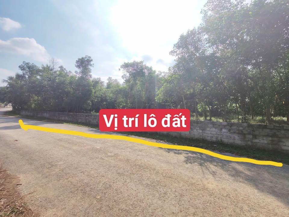 Đất thổ cư 2347m² tại Thượng Ninh, Như Xuân - Lô góc 2 mặt tiền, Giá chỉ 1 tỷ!