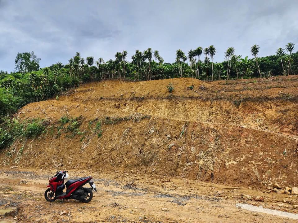 Đất nền Lộc Thành Bảo Lộc 557m² giá 450 triệu - Đầu tư sinh lời ngay!