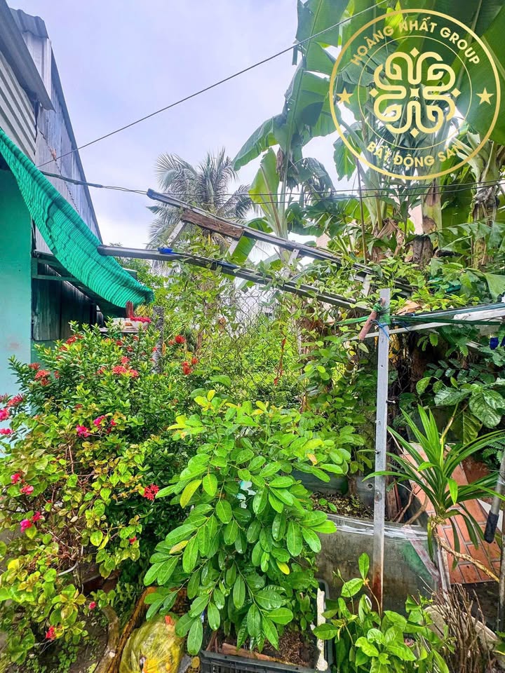 Đất nền hẻm Nguyễn Trung Trực, P8 Cà Mau 129m² giá 1.2 tỷ - Đầu tư sinh lời ngay!