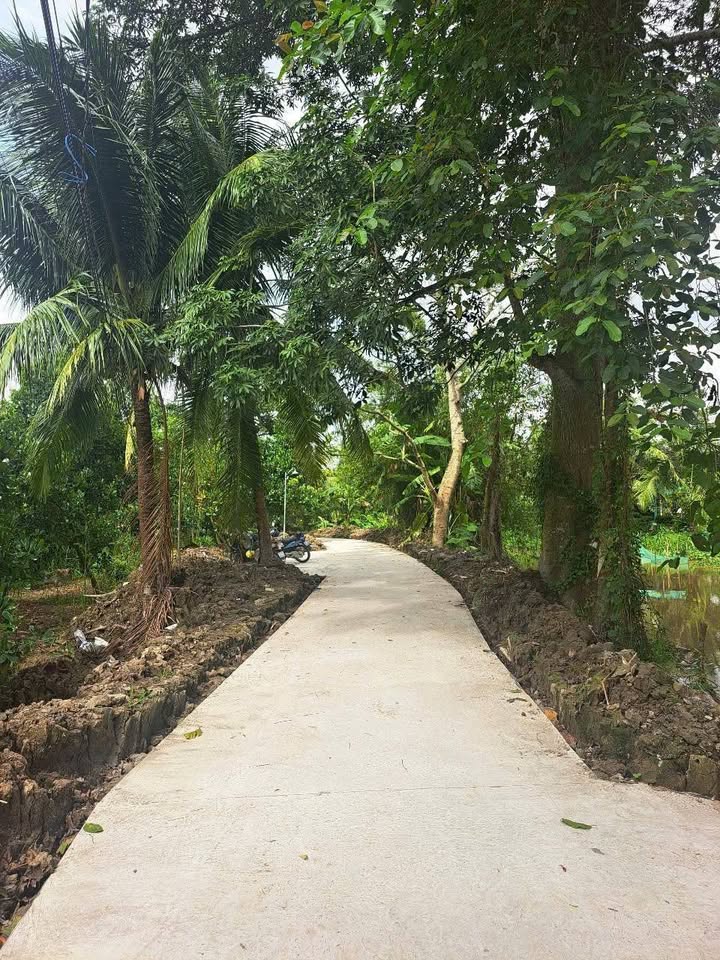 Đất nông nghiệp Thạnh Hòa, Cần Thơ 5869m² giá 2.35 tỷ - Pháp lý rõ ràng, tiện ích xung quanh