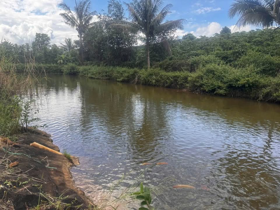 Đất hẻm Lê Lai, phường Lộc Tiến, Bảo Lộc 8 sào giá 16 tỷ - Tiềm năng nghỉ dưỡng lý tưởng!