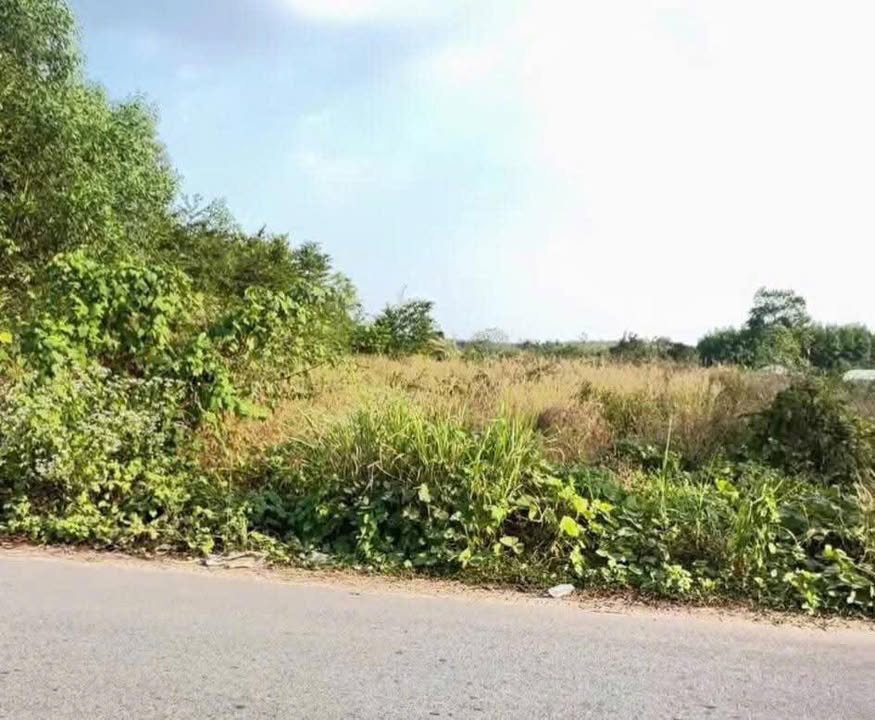 Đất nền Vĩnh Tân 185m² giá 1.75 tỷ - Đầu tư sinh lời ngay!