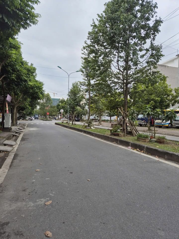 Nhà vườn Tuệ Tĩnh, Hải Dương 128.8m² - Vị trí đẹp, tiềm năng cao!