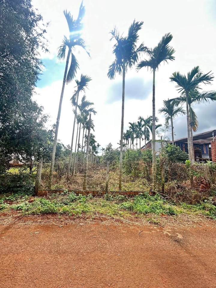 Đất nền mặt tiền đường 6KC, P.Tân An, Buôn Ma Thuột 265m² giá 850 triệu - Cơ hội đầu tư tuyệt vời!