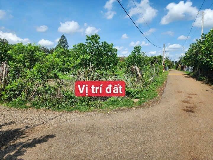 Đất vườn 1 sào 4, xã Sông Thao, Trảng Bom - Giá chỉ 1.85 tỷ, sổ đỏ chính chủ!