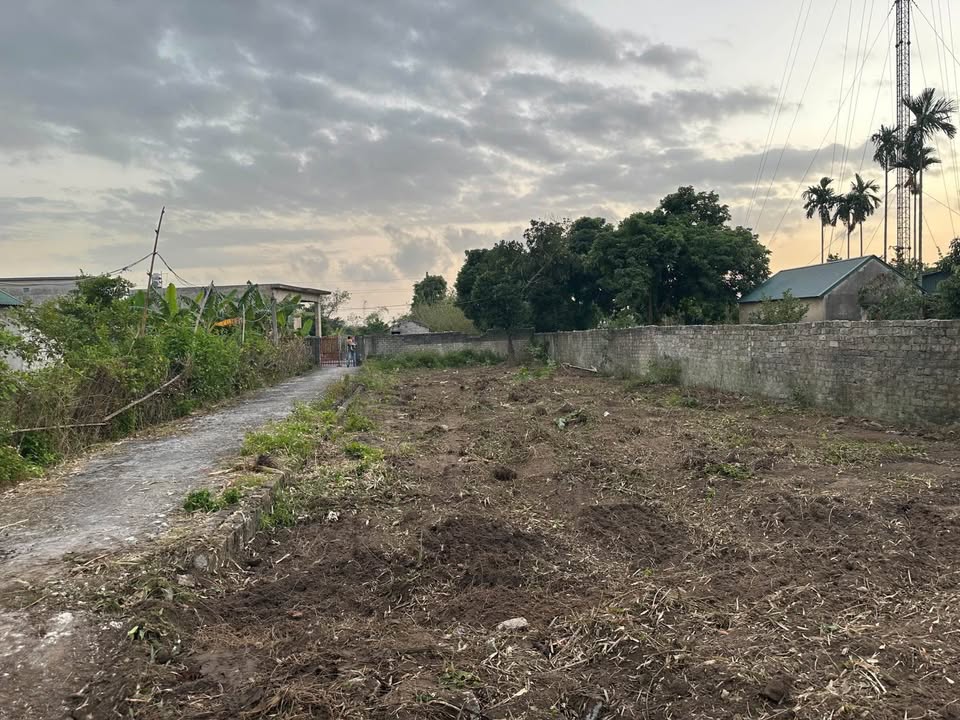 Đất Tân Yên, Hoàng Quế 182,5m² giá 1,2 tỷ - Cơ hội đầu tư hấp dẫn!