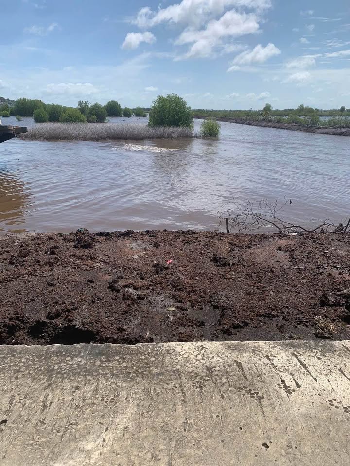 Đất nuôi tôm Hải sản 36.171m² tại ấp Tà Săng, TP Hà Tiên - Giá chỉ 2.35 tỷ!