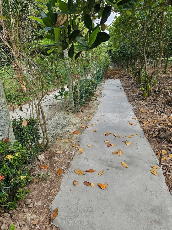 Đất nền 238m² xã Giục Tượng, huyện Châu Thành - Giá chỉ 350 triệu