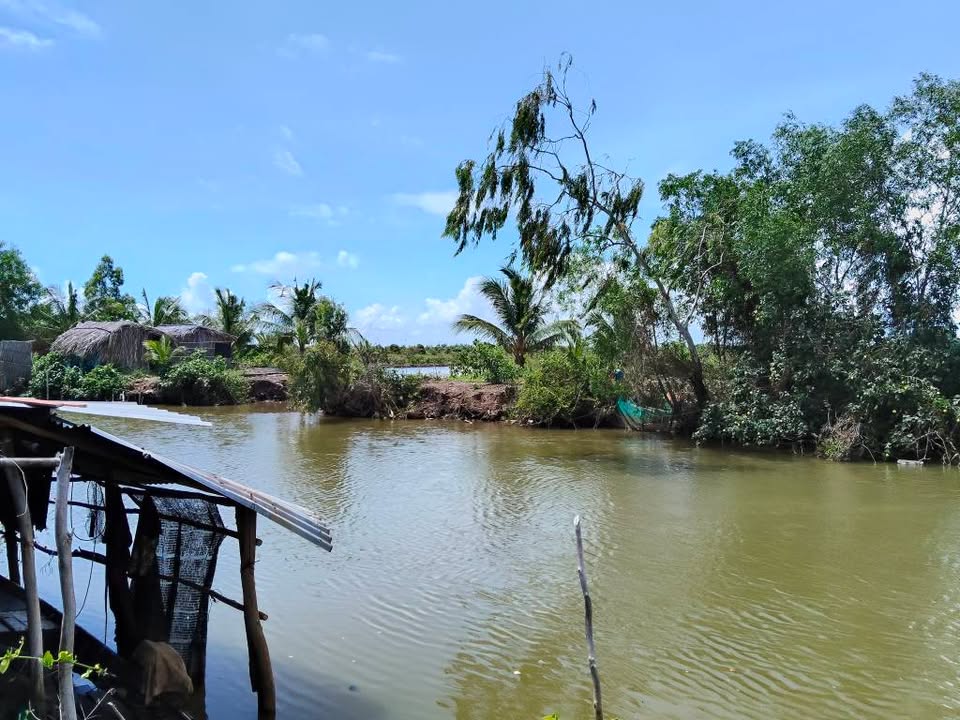 Đất nền nuôi trồng thủy sản tại kênh Tam Bản, Hòa Điền, Kiên Giang 104000m² - Sổ hồng chính chủ!