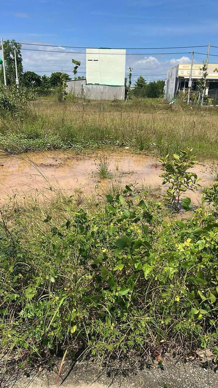 Đất thổ cư Tân Hưng, Tân Châu 160m² giá 1.1 tỷ - Cơ hội đầu tư tuyệt vời!