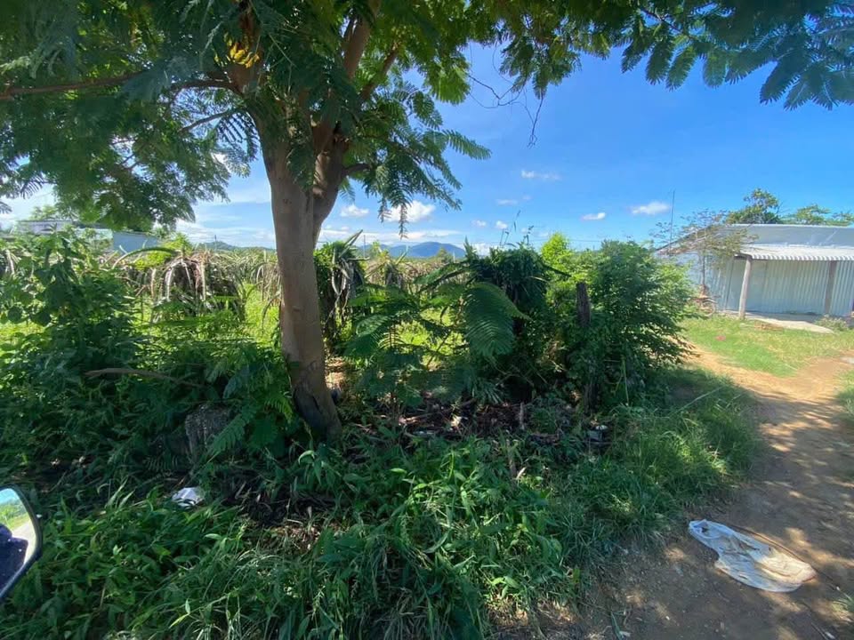 Bán lô đất 2 mặt tiền xã Hàm Cần 2450m² giá 1.2 tỷ - Đầu tư sinh lời ngay!