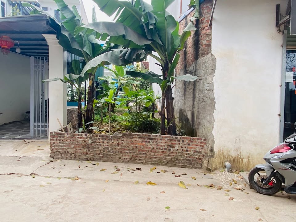 Đất nền Phụng Châu, Chương Mỹ 60m² giá 4 tỷ - Đầu tư sinh lời ngay!