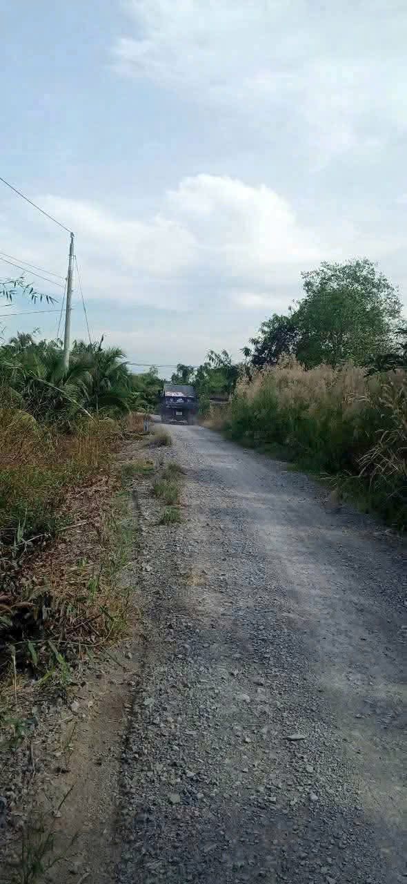 Đất vườn Thạnh Lợi Bến Lức 4533m² giá 2.5 tỷ - Cơ hội đầu tư tuyệt vời!