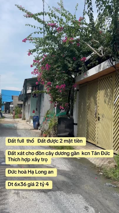 Lô Đất 216m² Cây Dương, Đức Hòa Hạ - Giá chỉ 2.4 tỷ, Đầu tư sinh lời cao!