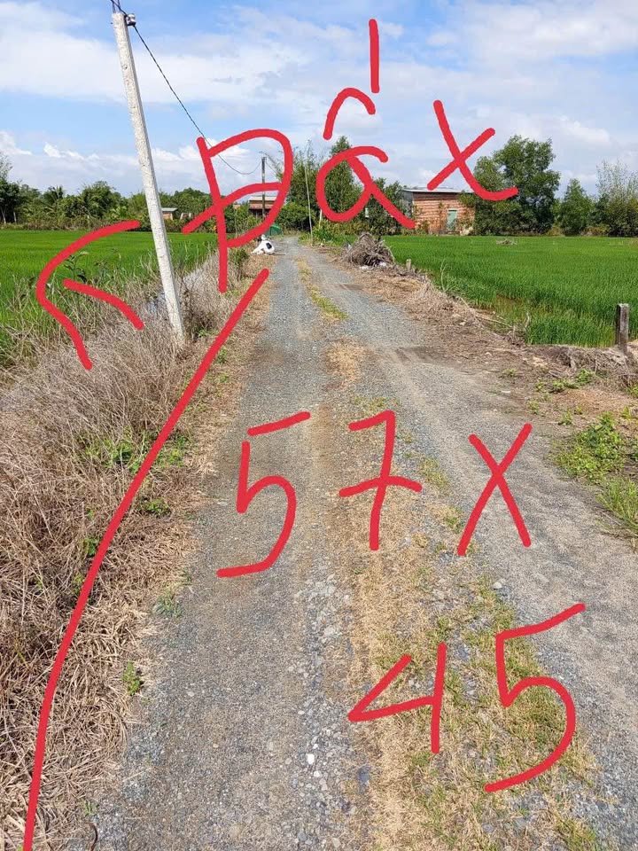 Đất vườn 2.700m² tại xã Tân Phú, Đức Hòa - Cơ hội đầu tư ngay!