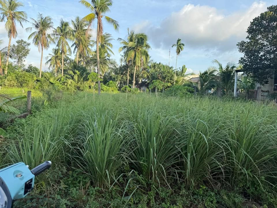 Đất Bồng Sơn, Hoài Nhơn 214m² giá 1.3 tỷ - Đường ô tô thuận tiện!