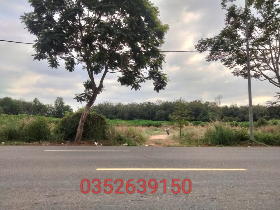 Đất nền mặt tiền Võ Văn Kiệt, Hắc Dịch, 15,300m² giá 91.8 tỷ - Tiềm năng đầu tư lớn!