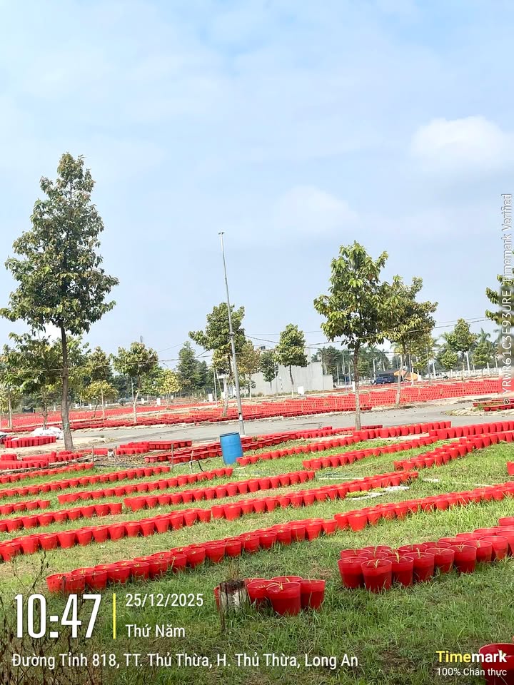 Đất thổ cư Thị trấn Thủ Thừa, Long An 100m² - Giá tốt, sổ hồng chính chủ!