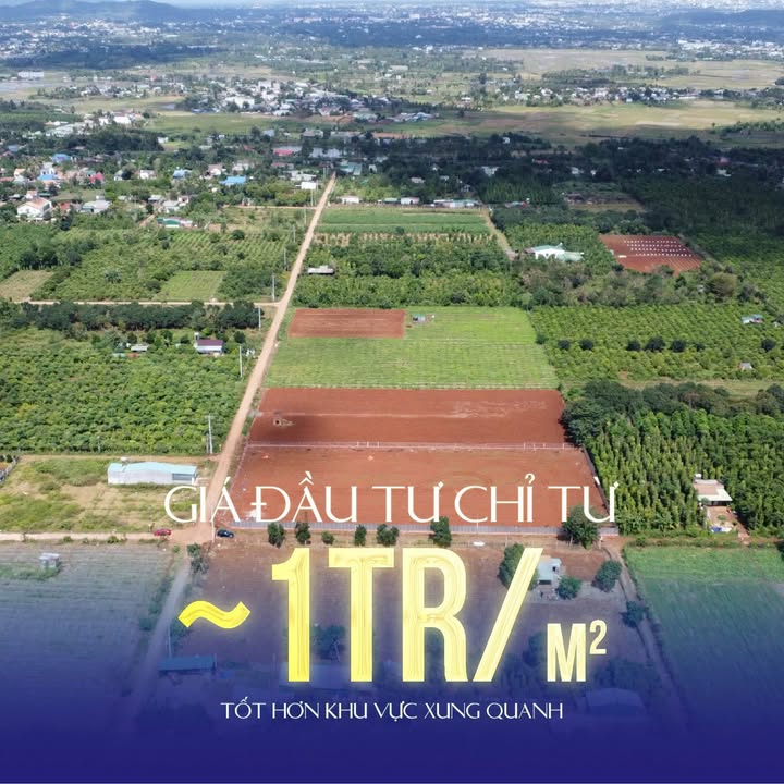 Nhà mặt tiền Tôn Thất Tùng 120m² giá 6.75 tỷ - Đầu tư sinh lời tại khu vực đắc địa!