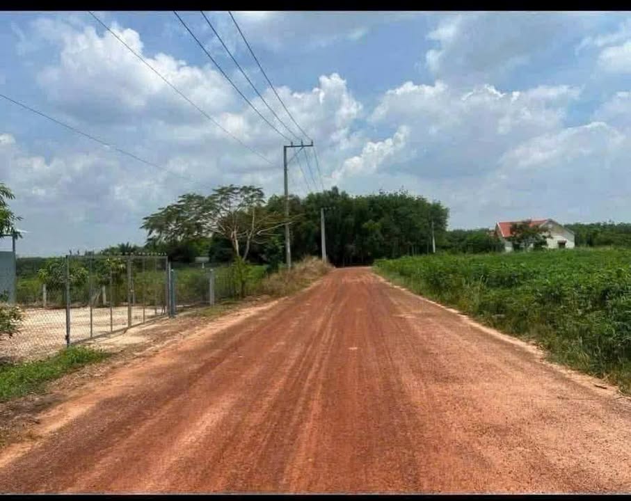 Đất nền Bàu Bàng Bình Dương 10.000m² giá 13 tỷ - Đầu tư tiềm năng lớn!