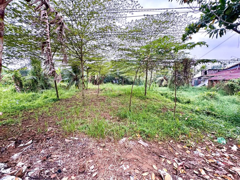 Đất nền đẹp tại Cồn Thới Sơn 300m² - Giá chỉ 1.2 tỷ, xây biệt thự mini lý tưởng!