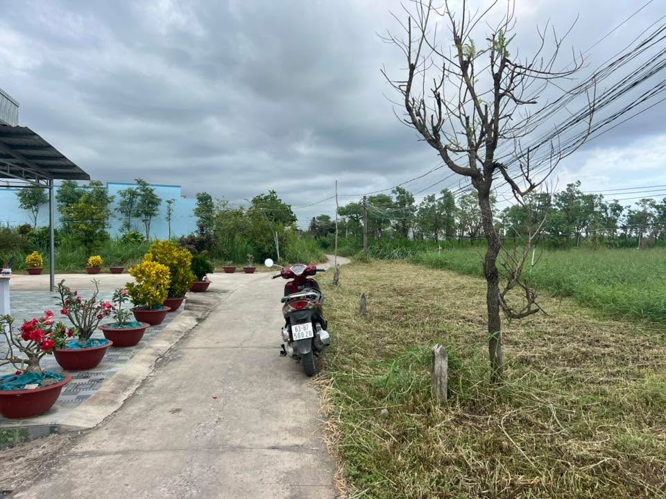 Đất nền Bình Nghị - Gò Công Đông 215m² giá 299 triệu - Sẵn sàng cho đầu tư!