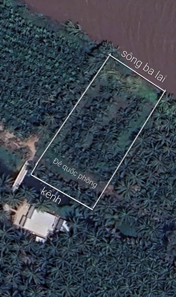 Đất nền Châu Hòa Giồng Trôm 2000m² giá thỏa thuận - Đầu tư tiềm năng bên sông Ba Lai!