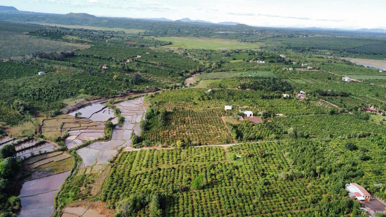 Đất thổ cư Bờ Ngoong Chư Sê Gia Lai 1.081,5m² - View ruộng tuyệt đẹp!