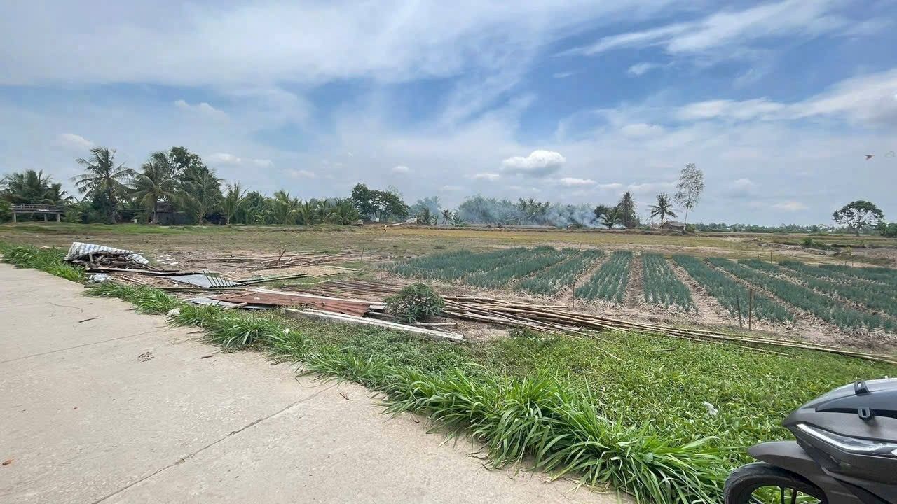 Đất nền liền kề 1000m² tại Tài Văn, Trần Đề - Giá chỉ 350 triệu