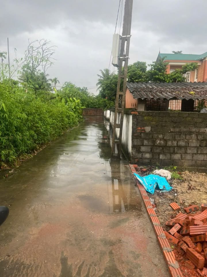 Lô đất Quốc Tuấn, An Dương 42m² giá 635 triệu - Vị trí thuận lợi gần trung tâm!