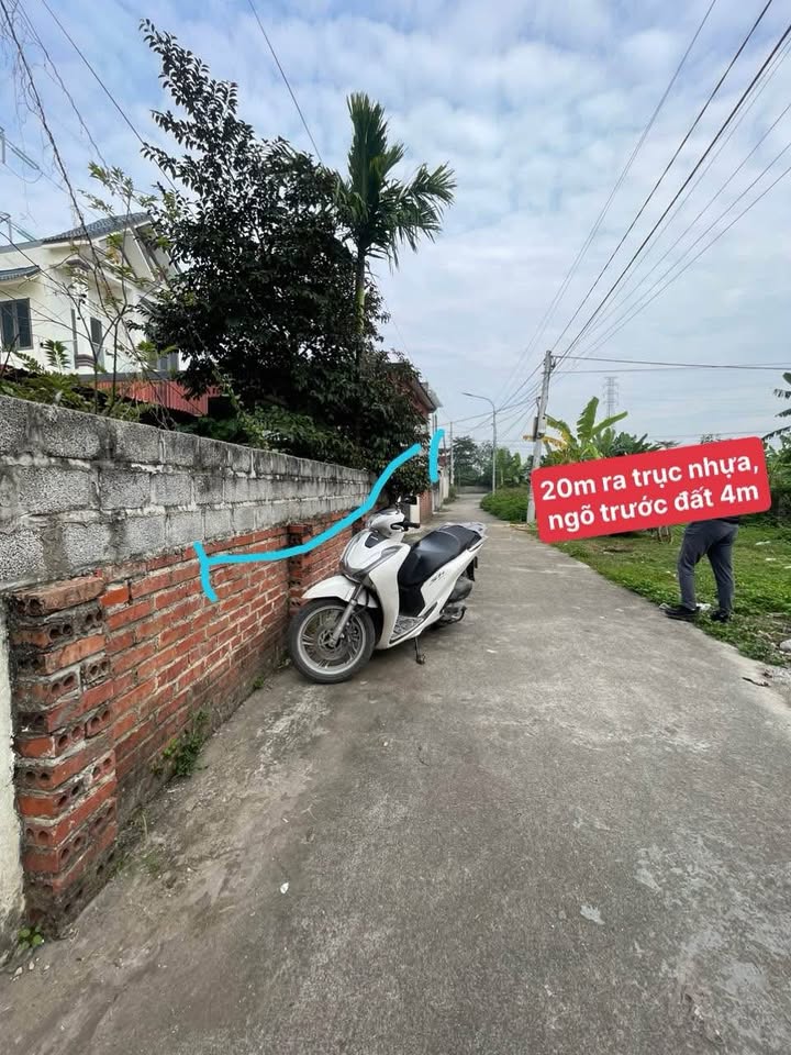 Đất nền An Tiến An Lão 119m² giá thỏa thuận - Cạnh dự án sân golf!