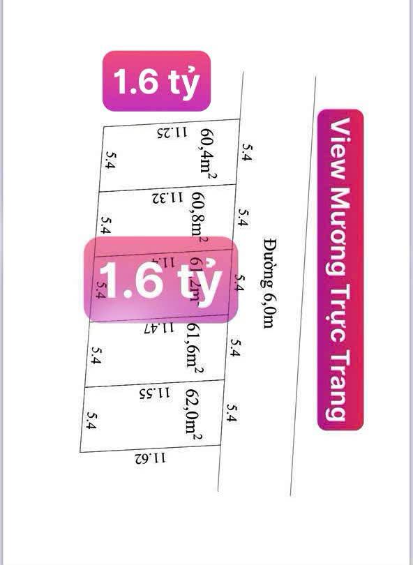 Đất nền Bát Trang, An Lão 60m² giá 1.6 tỷ - Cơ hội đầu tư sinh lời!