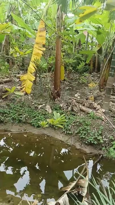 Đất nền Lê Ích Mộc, Thủy Nguyên 150m² giá 1.4 tỷ - Đầu tư sinh lời cao!