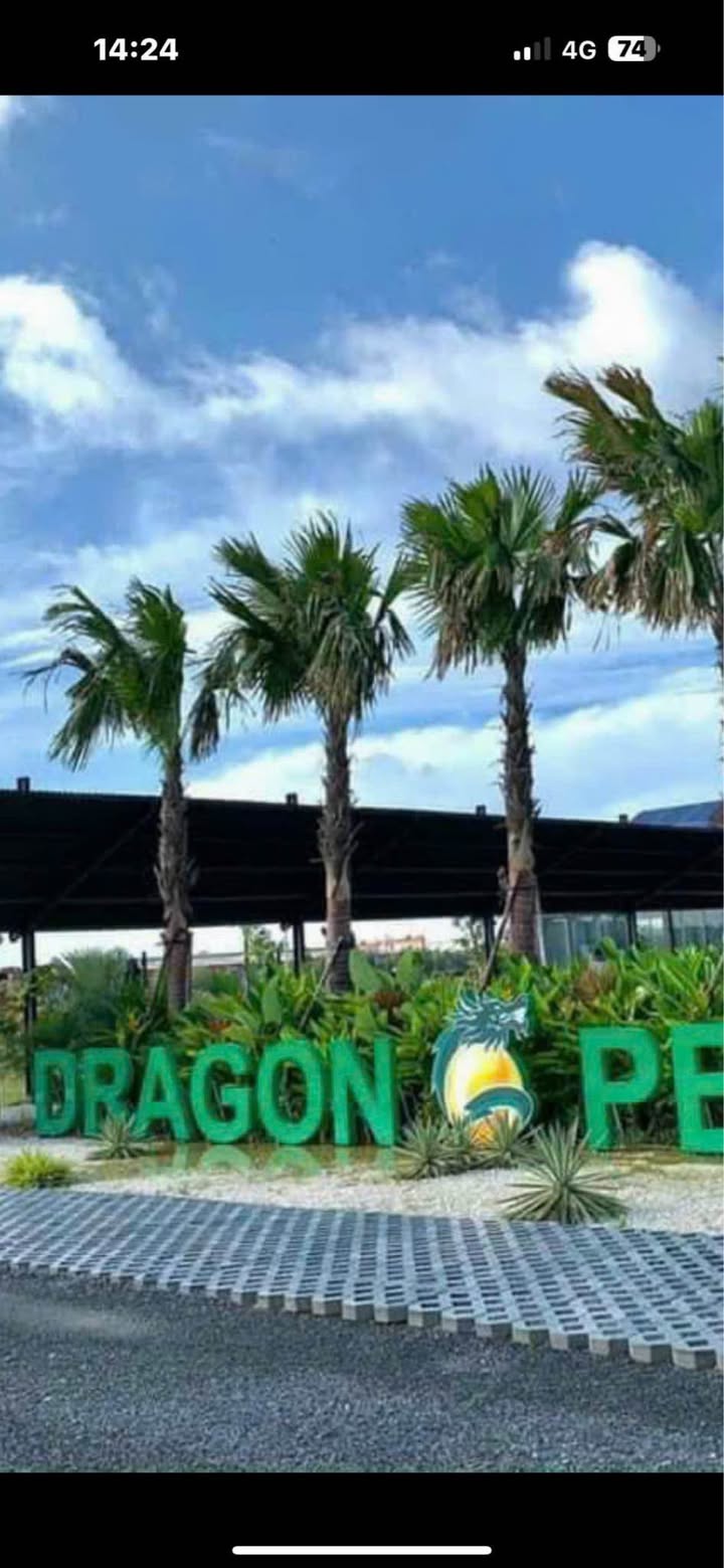 Đất nền liền kề tại The Dragon Pearl, Đức Hòa Đông, Long An - Đầu tư sinh lời chỉ từ 1.6 tỷ!